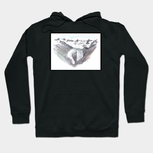 Franz Josef Glacier Hoodie